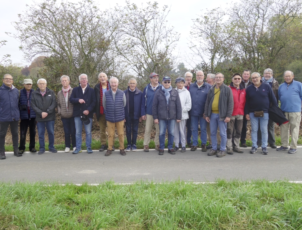 Les marches probusiennes ont repris