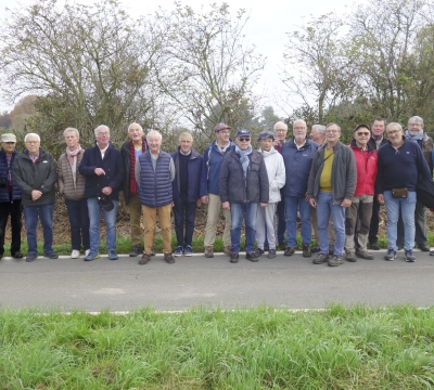 Les marches probusiennes ont repris